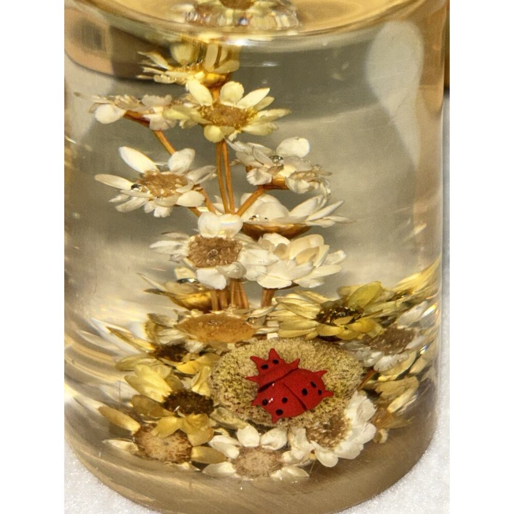Lucite Paper Weight With Real Flowers Hand Crafted Daisyglas Campbell Calif